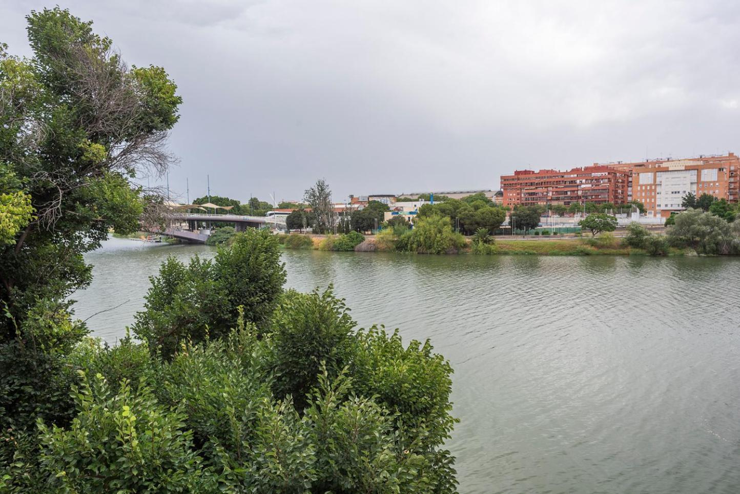 Alohamundi Castilla V-Vi إشبيلية المظهر الخارجي الصورة